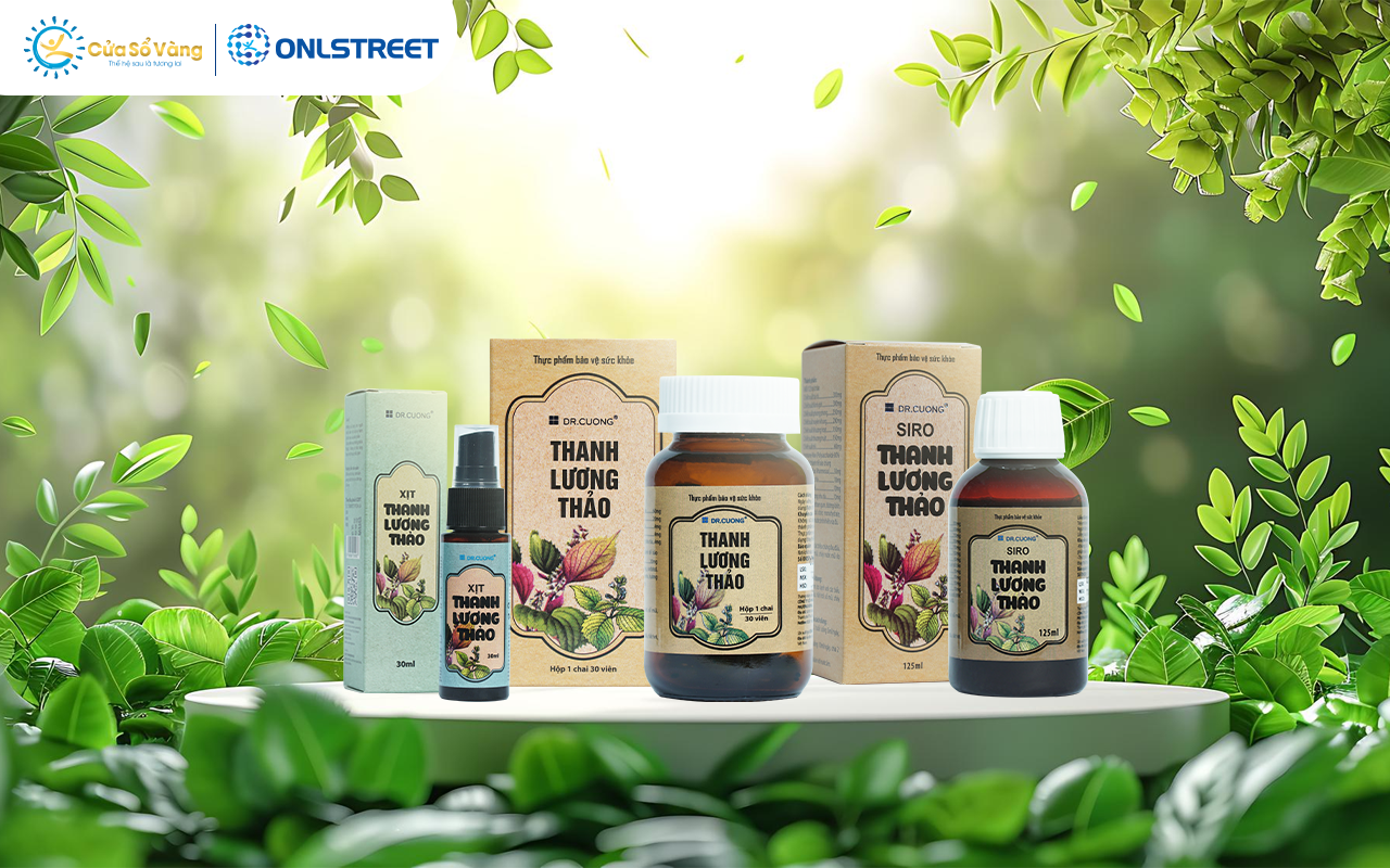 Thanh Lương Thảo Cửa Sổ Vàng